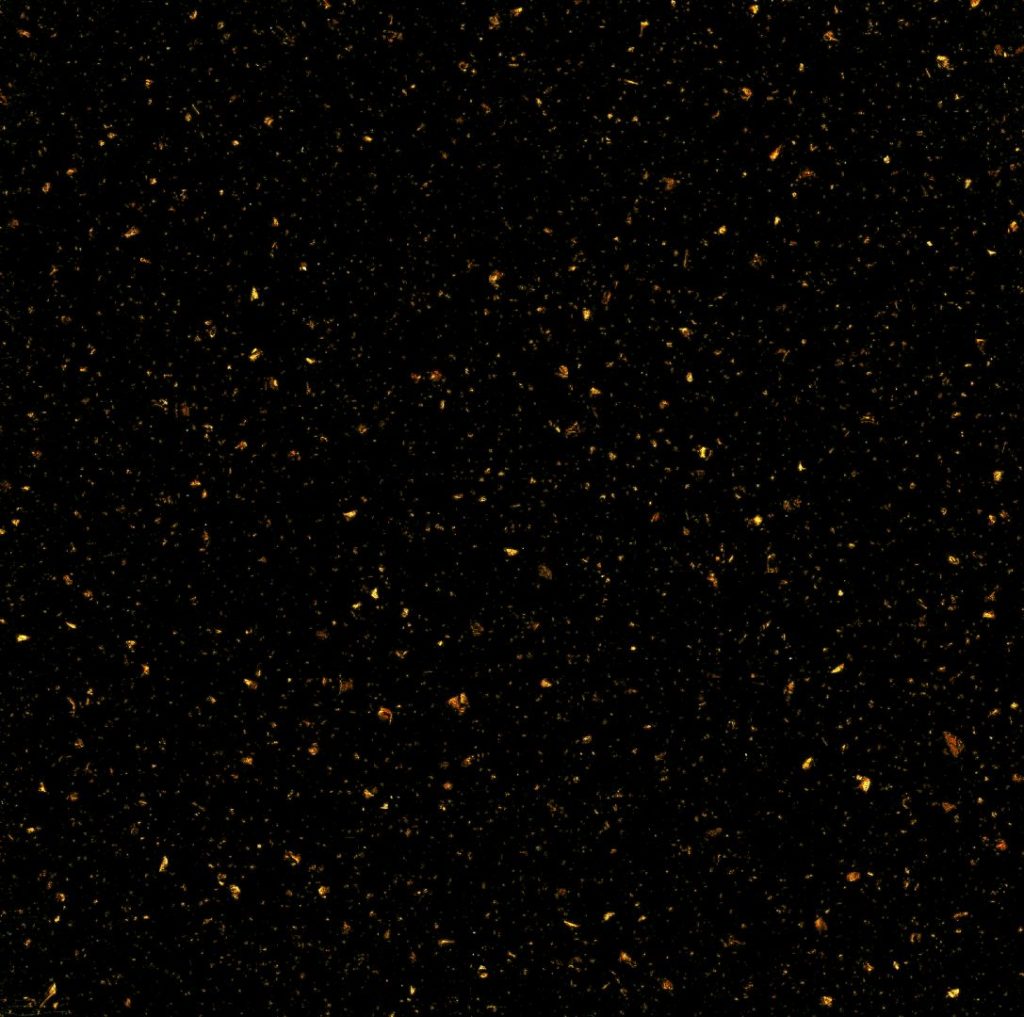 Copper Black